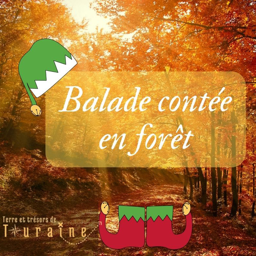 Terre-et-Trésors-de-Touraine-Balade-contée-en-foret-