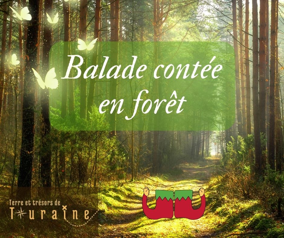 Terre-et-Trésors-de-Touraine-Balade-contée-en-foret-